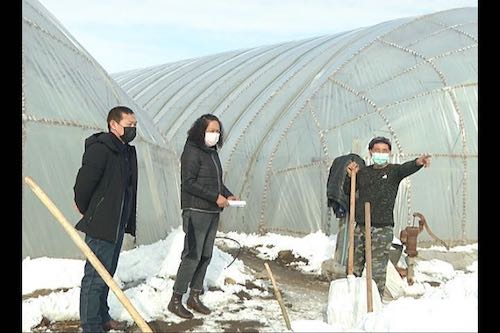 黑龙江省龙江县：清雪扣棚全力备耕忙