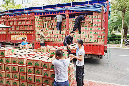 疫情动态|疫情无情，人间有爱  海南万宁爱心人士向海医第二附属医院捐赠1400箱西瓜