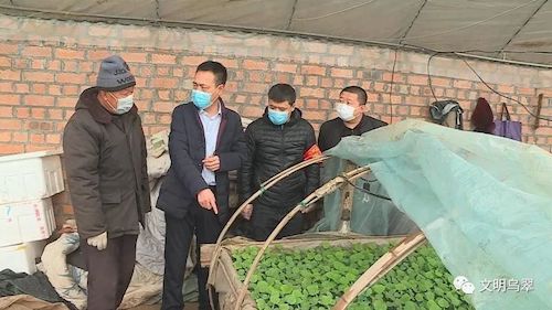 伊春市乌翠区有序恢复春耕生产