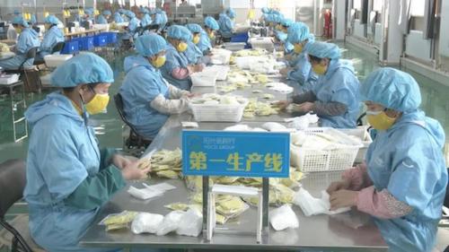 黑龙江铁力市企业复工复产工作有序展开