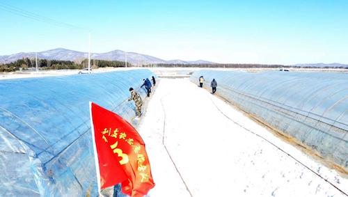 黑龙江建三江垦区：杜绝侥幸心理 松劲心态 统筹抓好农业生产