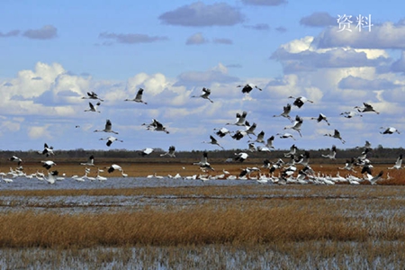 沈阳市发布十条政策措施支持旅游企业发展