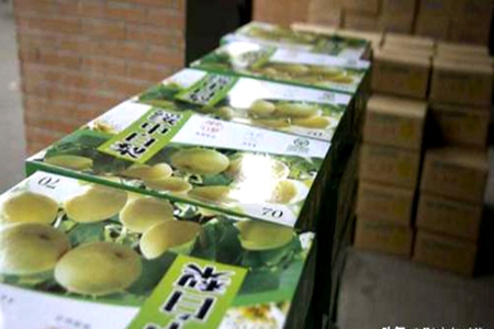 沈阳正仪正行公益联合中国医科大学工会向支援湖北抗疫医护人员家属发放慰问品