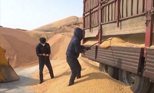 黑龙江克山县：保生产促就业稳增收“战疫”“战贫”两不误