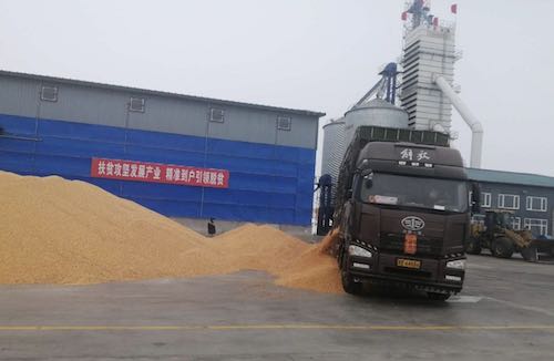 黑龙江拜泉县：开启疫情防控备耕生产“加速键”