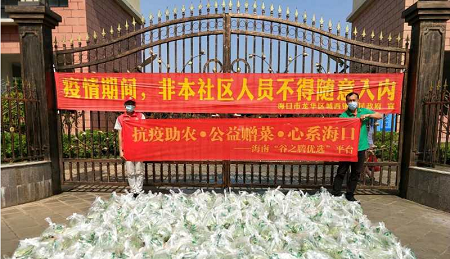 助农惠民抗疫情 海南谷之腾百万斤蔬菜免费送