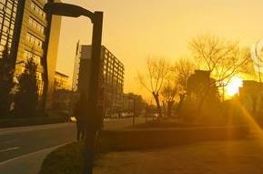 大风劲吹！今天北京阵风超8级局地有扬沙