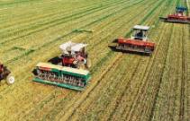 多部门施策保障农资供应 让农民安心春耕备耕