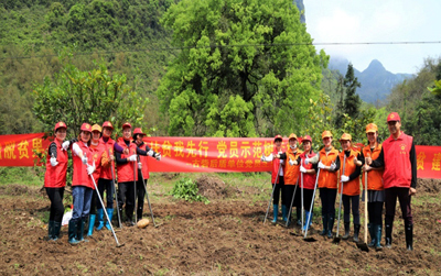 广西柳城县总工会开展助力脱贫花果种植活动