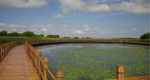 佳木斯：抓住立县主导产业 推动县域经济高质量发展