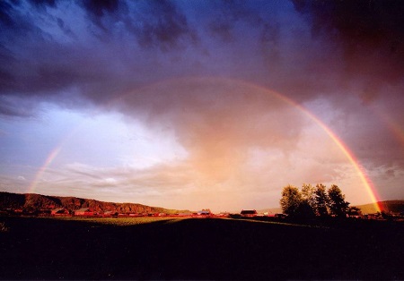 黑龙江省政协：用真情义举驰援战&ldquo;疫&rdquo;一线