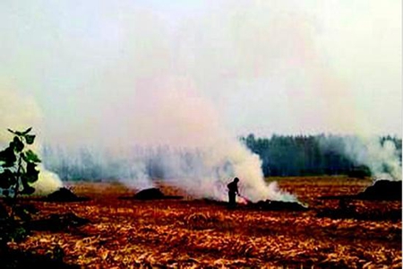 秸秆焚烧火点明显增多，辽宁五县(市)政府主要负责人被约谈