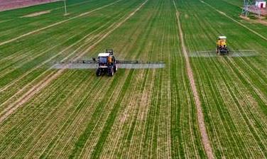 部分粮食出口国限制出口 中国老百姓米袋子会有影响吗？