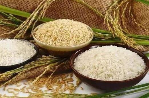 “粮食危机”来了？专家：中国主粮充足