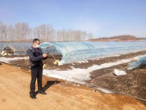 田野上书写春天答卷 &mdash;&mdash;北京清米科技有限公司服务&ldquo;三农&rdquo;侧记