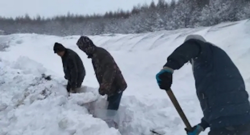 绥滨县：寒潮暴雪席卷而来 农民积极抗灾自救
