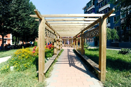 沈阳市今年将开展十大专项整治提升行动