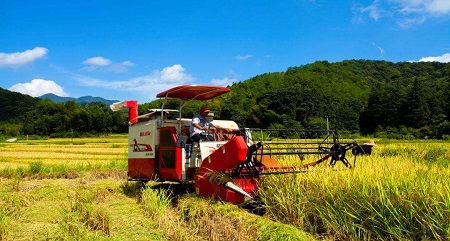 贺铿：谈谈肺疫恐慌与“粮食危机”