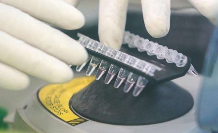 浙江对近14天来自武汉地区人员开展核酸和血清检测