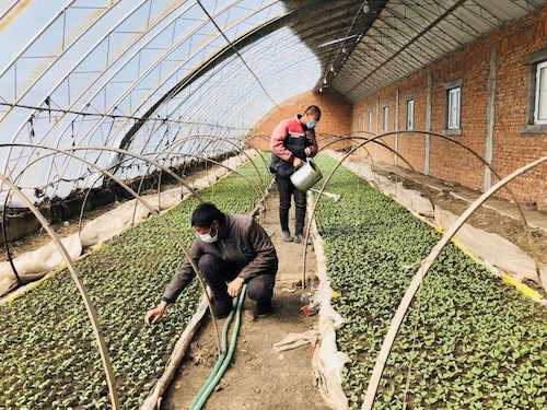 防&ldquo;疫&rdquo;不误春耕 明水县别样&ldquo;春耕图&rdquo;