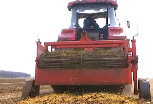 富裕县：积极探索中药种植致富新路子