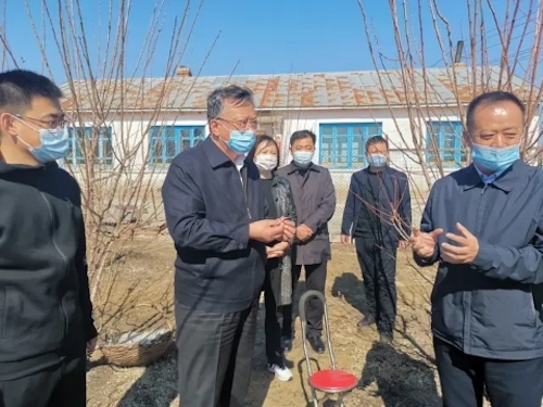 汤原县：实施&ldquo;菜园革命&rdquo; 让农户看到实实在在的经济效益