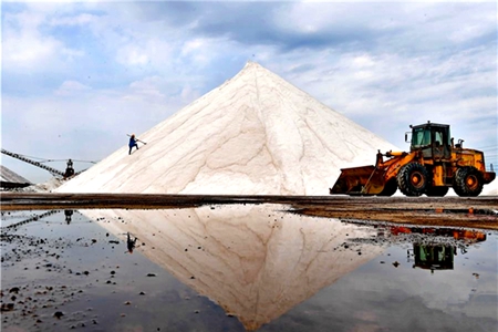 辽宁省自然资源常态化执法 严查重罚非法开采海砂