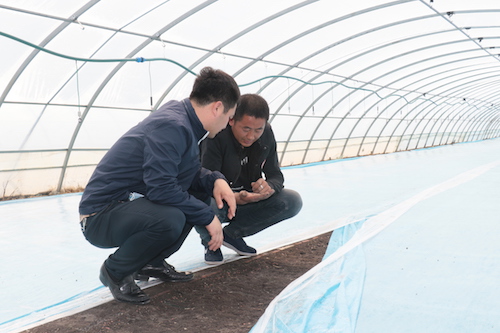 明水县：水稻育苗忙 增产又丰收