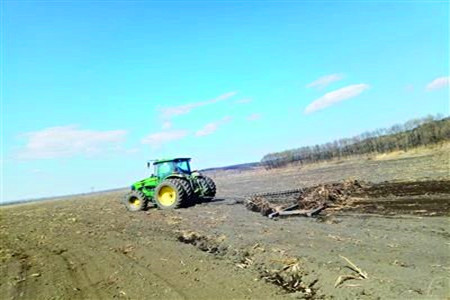 黑龙江七台河:早来桃花水 农时值千金