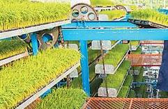 越来越多“黑科技”被用于生产 智慧农业显身手