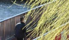 阵风8级！北京遭遇雨后大降温 北风劲吹需添衣