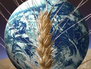 世粮署：全球2.65亿人或面临严重粮食危机