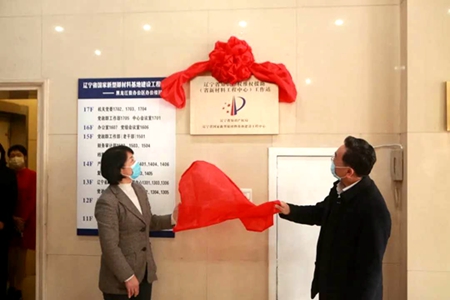 辽宁省首个知识产权维权援助工作站在省新材料中心成立