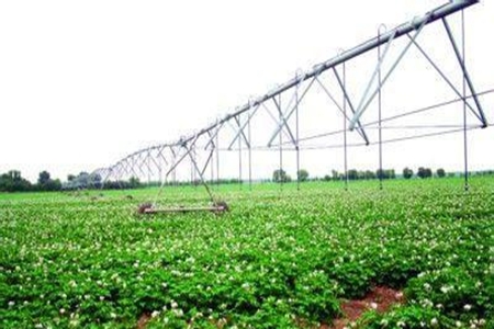 辽宁三部门联合发文为设施农业拓展发展空间并保驾护航