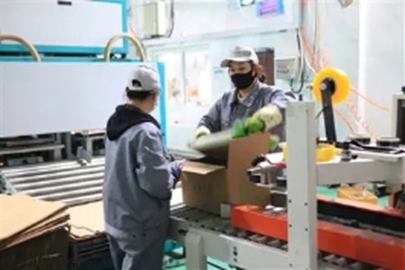 辽宁盘山县多措并举提升粮食产能