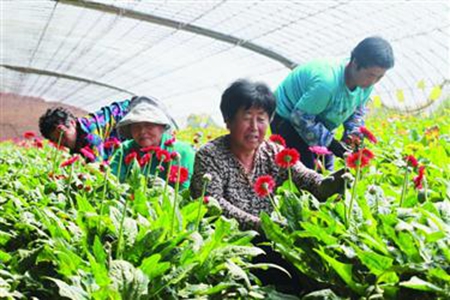 精准扶贫 脱贫攻坚 辽宁义县贫困发生率降到0.11%