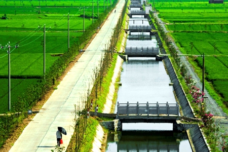 提早谋划 科学调度 辽宁省确保水田灌溉用水需求
