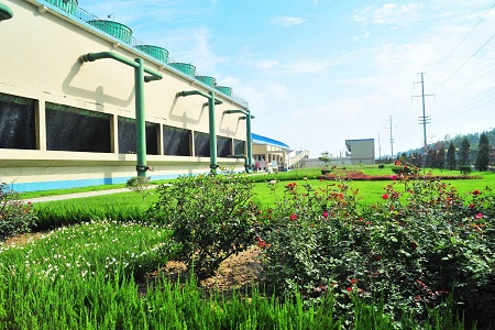 笃定初心：满眼绿色好风景 ——心连心化学工业集团奋斗历程回眸(三)