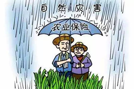 辽宁规范种植业保险经营 稳定农业生产和农民收入