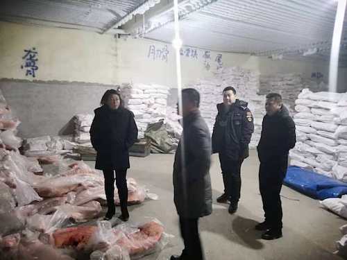 黑心商家收购屠宰销售病猪可恨，如今被检察机关公诉，痛快！