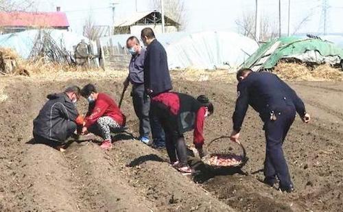 汤原县：把农家庭院的&ldquo;方寸地&rdquo;建成了脱贫致富的增收园