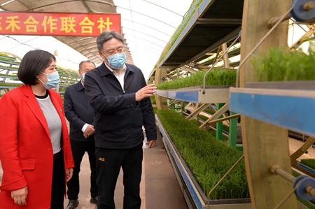 王文涛：抢农时高标准抓好春耕生产 当好国家粮食安全的压舱石