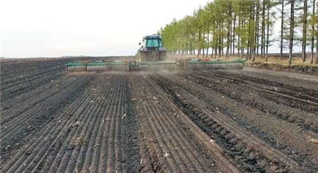 &ldquo;春耕五变&rdquo; 克山县调结构改模式提质效促增收