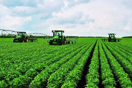 坚持&ldquo;四个确保&rdquo;沈阳春播总面积已达48.29万公顷