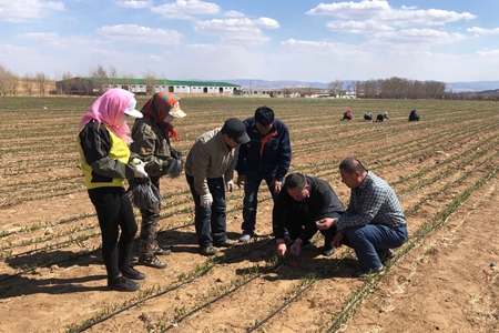 辽宁省全力以赴为农业生产创造有利条件