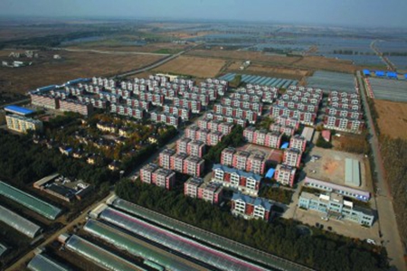 沈阳市树牢新发展理念 激发区域发展新活力