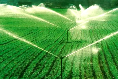 辽宁省启动旱作节水农业技术推广试点项目