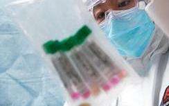 31省份新增新冠肺炎确诊病例11例 均为境外输入