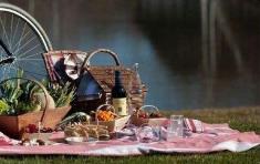 朋友圈刮起“野餐热” 户外聚会热催生“野餐元年”