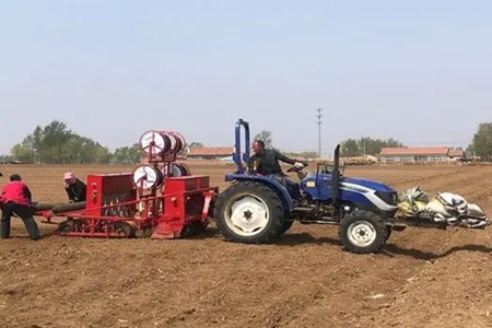 铁岭昌图大力发展中草药种植产业 推动农民增收致富